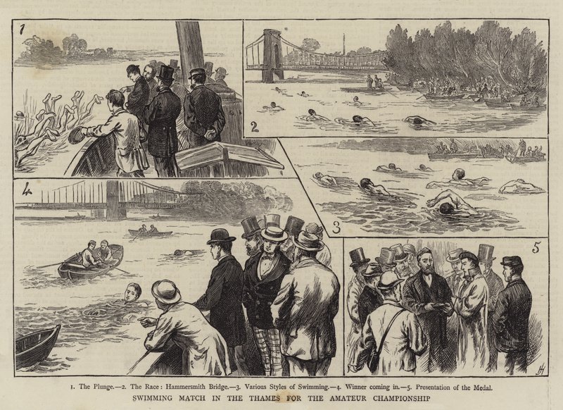 Swimming Match in the Thames for the Amateur Championship (engraving) by English School