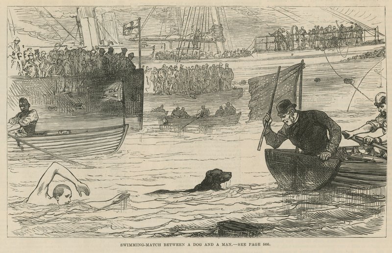 Swimming Match Between a Dog and a Man by English School