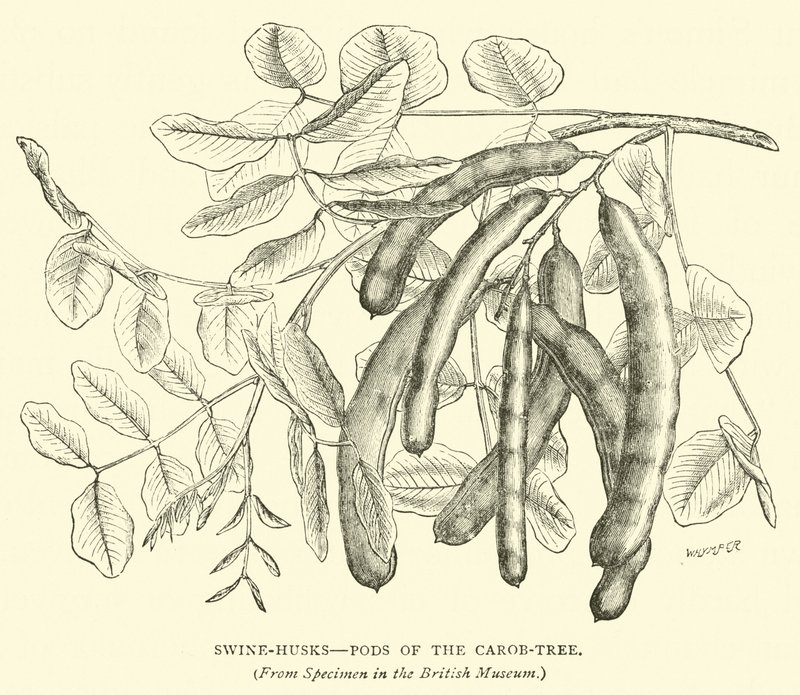 Swine Husks, Pods of the Carob-Tree by English School