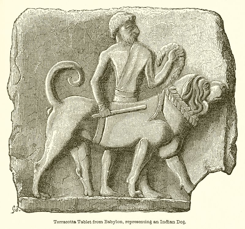 Terracotta Tablet from Babylon, Representing an Indian Dog by English School