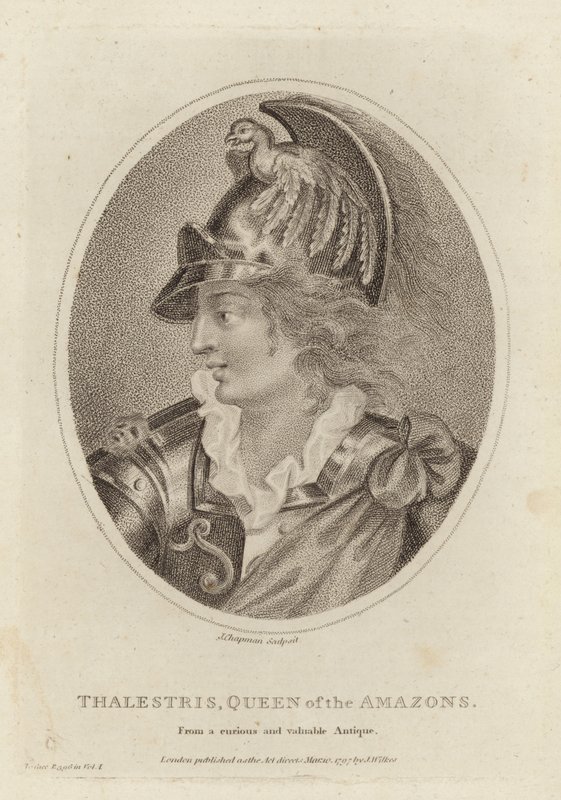 Thalestris, Queen of the Amazons by English School