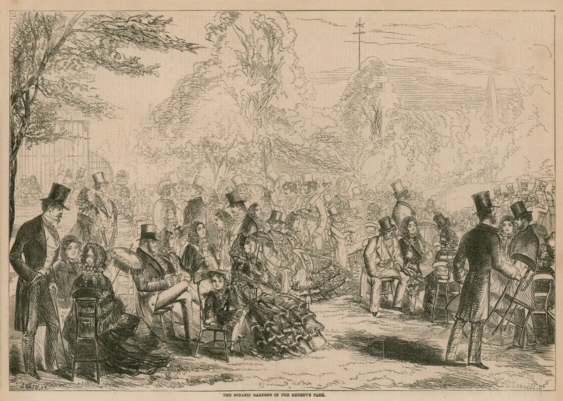The Botanic Gardens in the Regents Park, London by English School