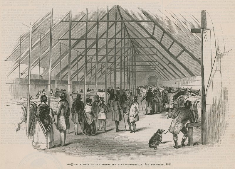 The Cattle Show of the Smithfield Club by English School
