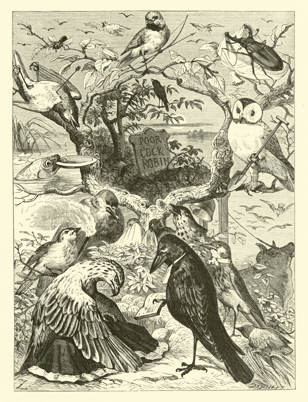 The Death and Burial of Cock Robin by English School