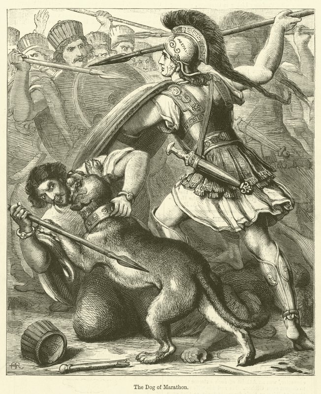The Dog of Marathon by English School