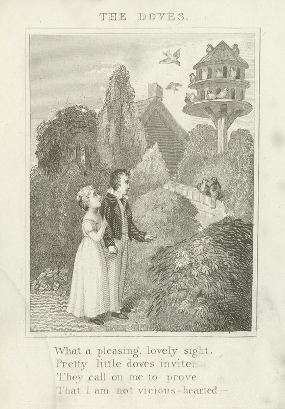The Doves by English School