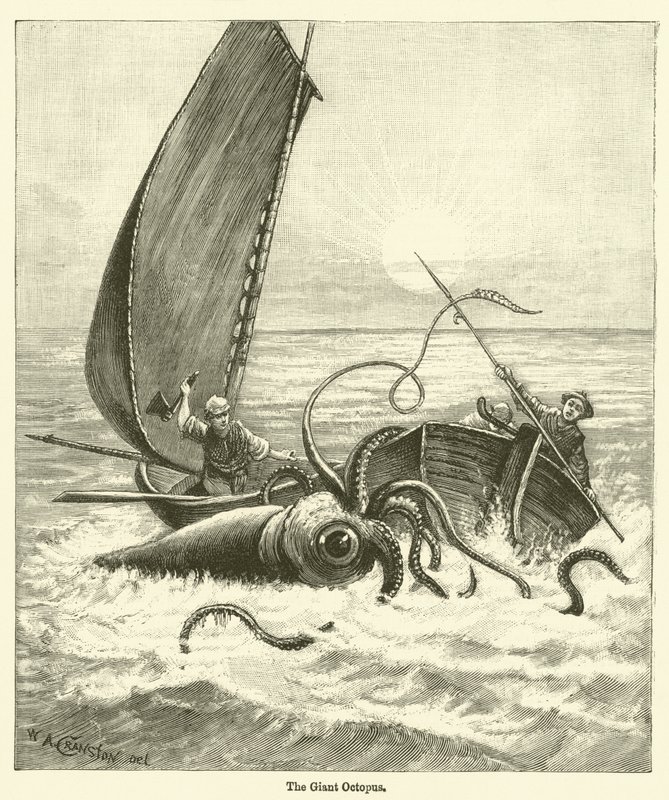 The Giant Octopus by English School