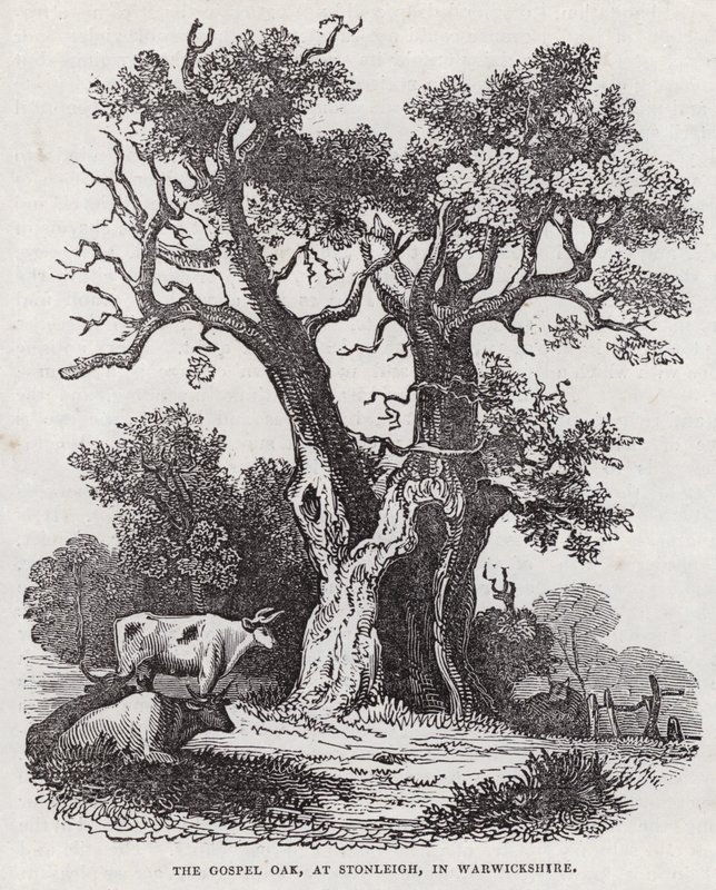 The Gospel Oak, Stonleigh, Warwickshire by English School