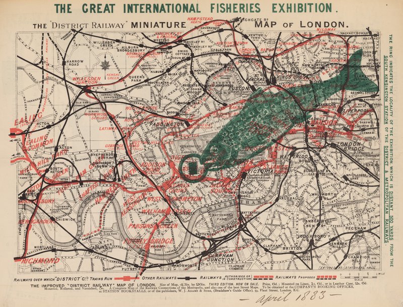The Great International Fisheries Exhibition by English School