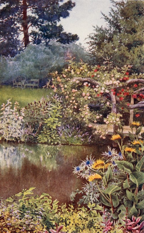 The Herb-Garden: Herbs by the Waterside by English School