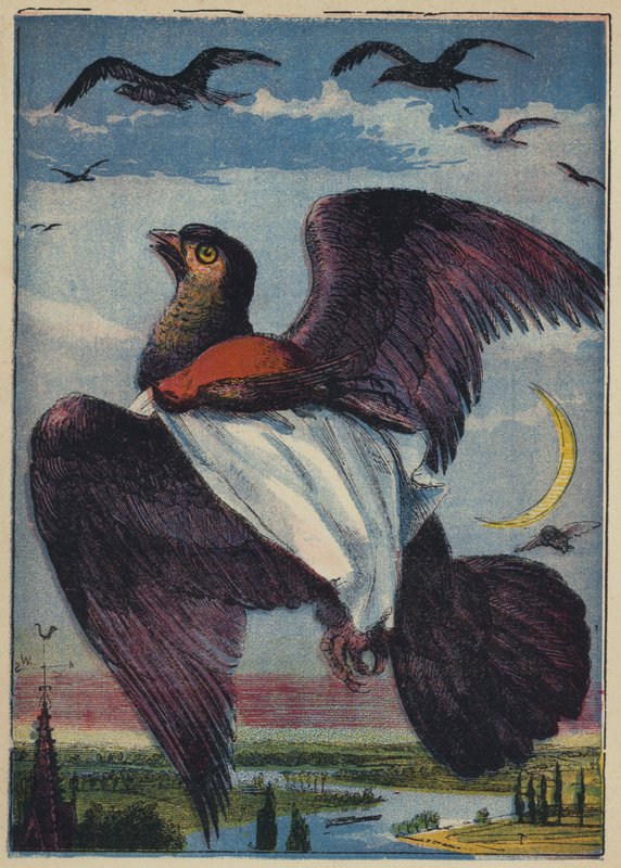 The Kite and Cock Robin by English School