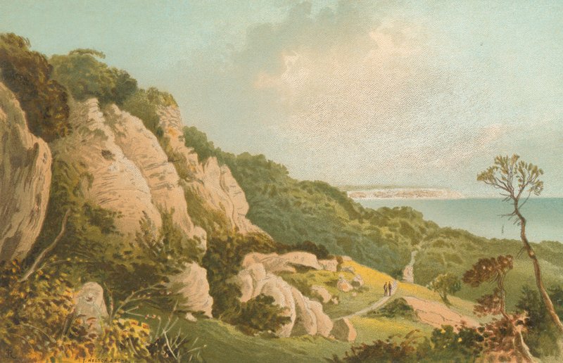 The Landslip near Ventnor--Isle of Wight by English School