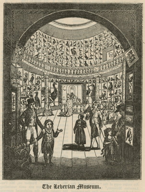 The Leverian Museum by English School