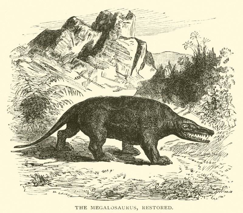 The Megalosaurus, Restored by English School