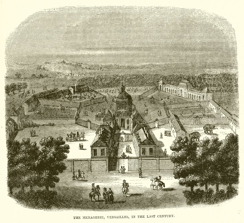 The Menagerie, Versailles, in the Last Century by English School