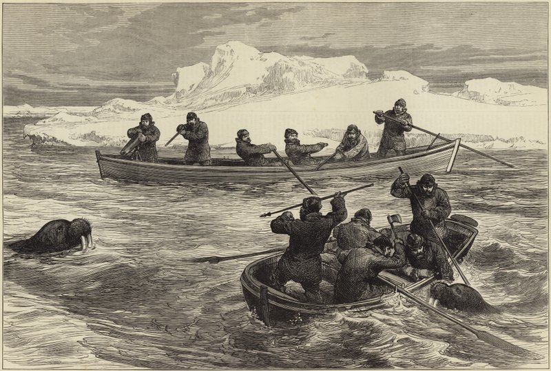 The Pandora Arctic Expedition by English School
