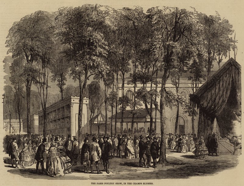 The Paris Poultry Show, in the Champs Elysees by English School