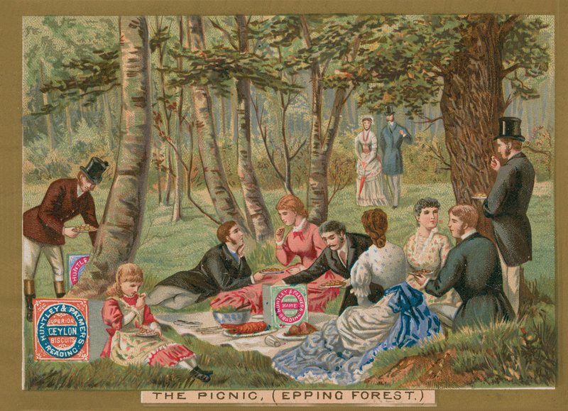 The Picnic, Epping Forest by English School