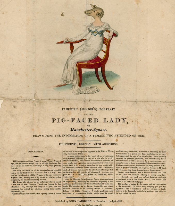 The Pig-Faced Lady of Manchester Square, London by English School