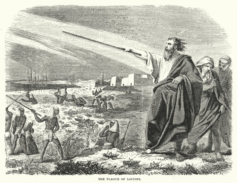 The Plague of Locusts by English School