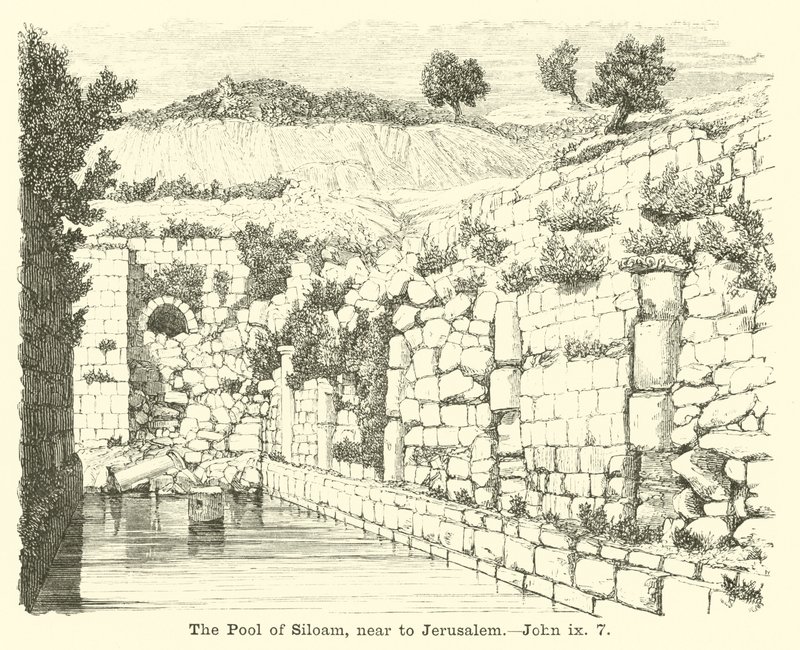 The Pool of Siloam, near to Jerusalem by English School
