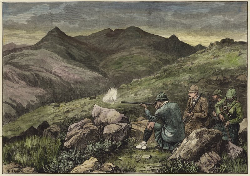 The Prince of Wales at a Deer Drive in the Forest of Mar by English School
