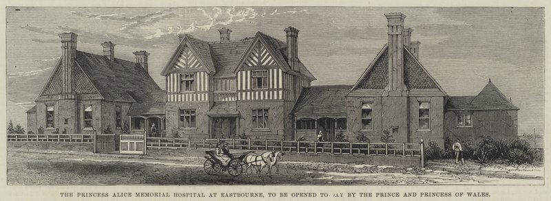 The Princess Alice Memorial Hospital at Eastbourne, to be opened today by the Prince and Princess of Wales (engraving) by English School