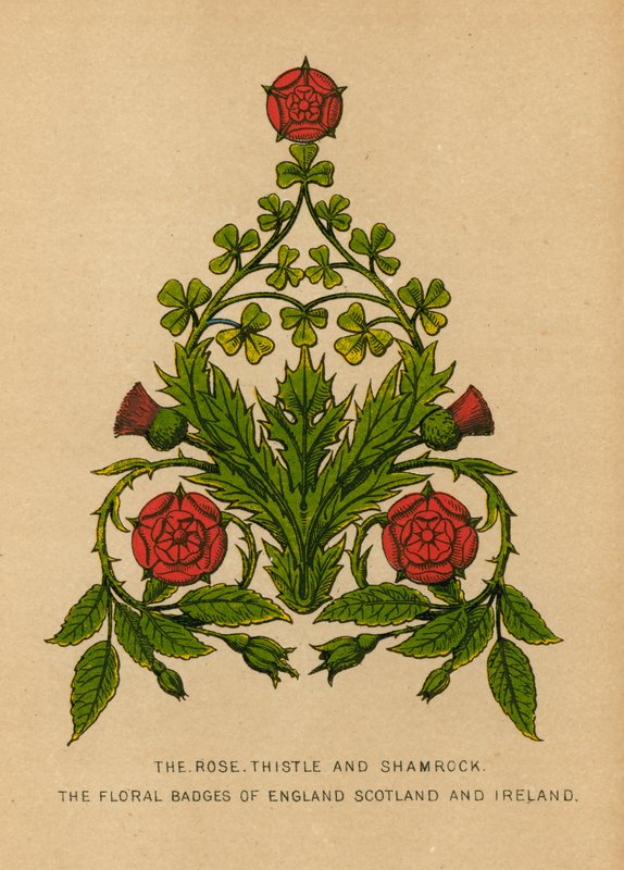 The Rose, Thistle and Shamrock. The Floral Badges of England, Scotland and Ireland by English School