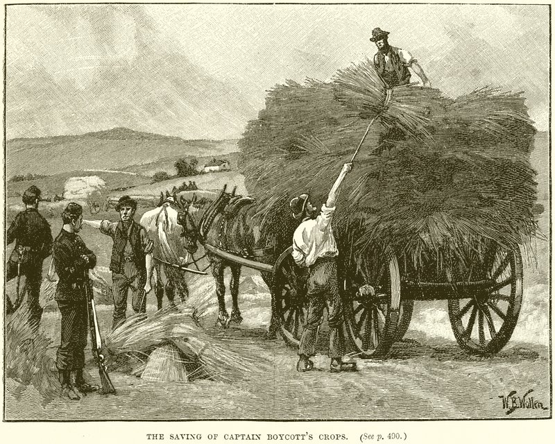 The Saving of Captain Boycotts Crops by English School