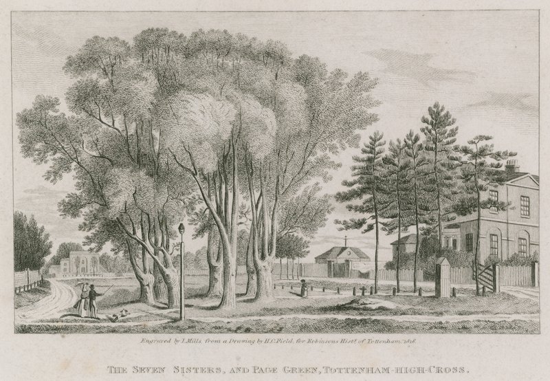 The Seven Sisters and Page Green, Tottenham High-Cross, London by English School