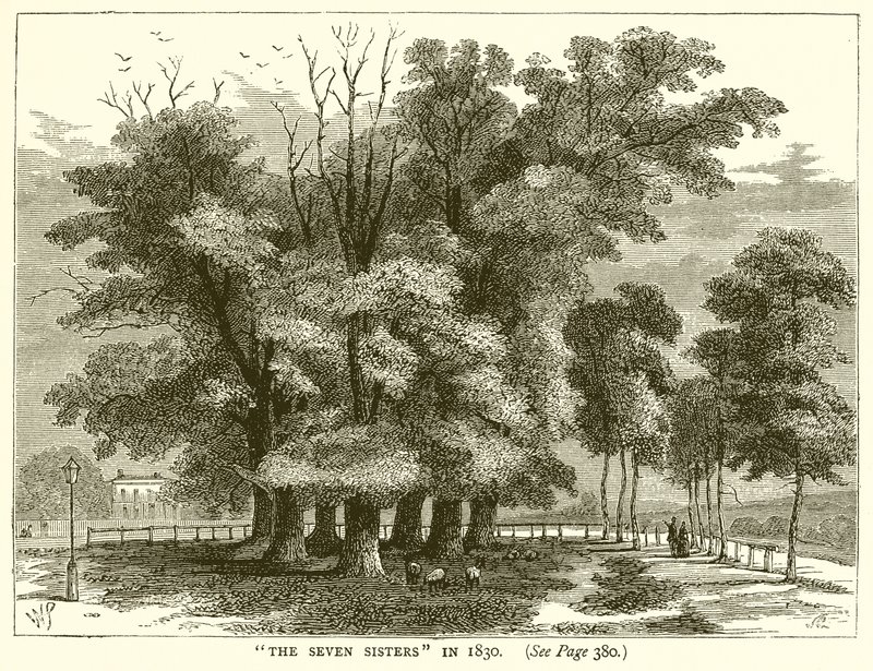 The Seven Sisters in 1830 by English School