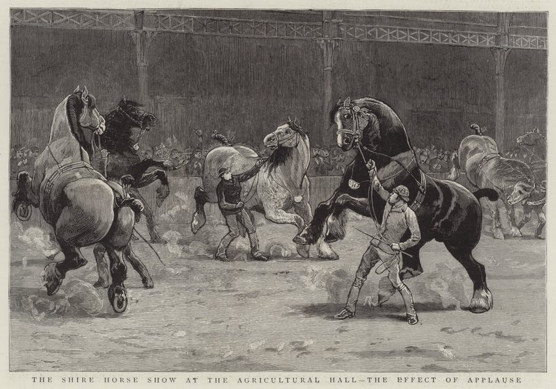 The Shire Horse Show at the Agricultural Hall, the Effect of Applause by English School
