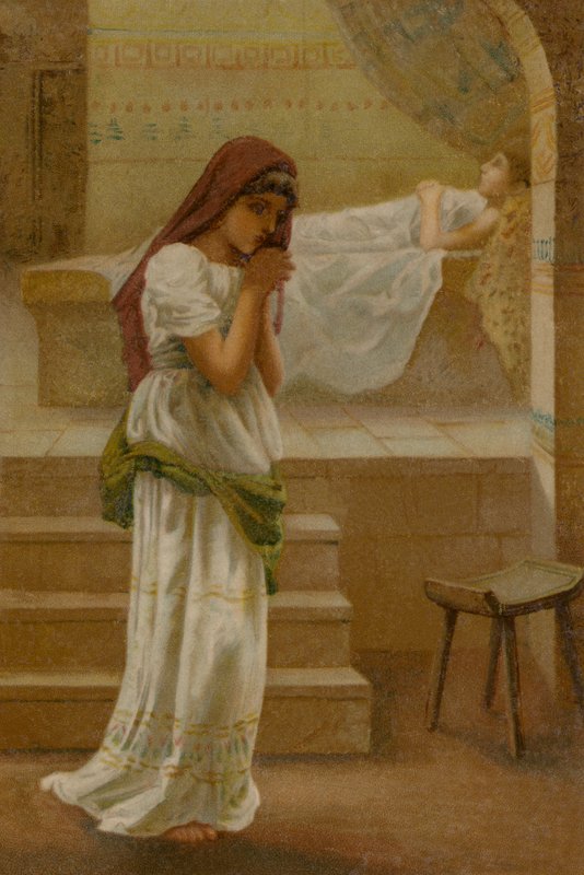 The Shunammite Woman by English School