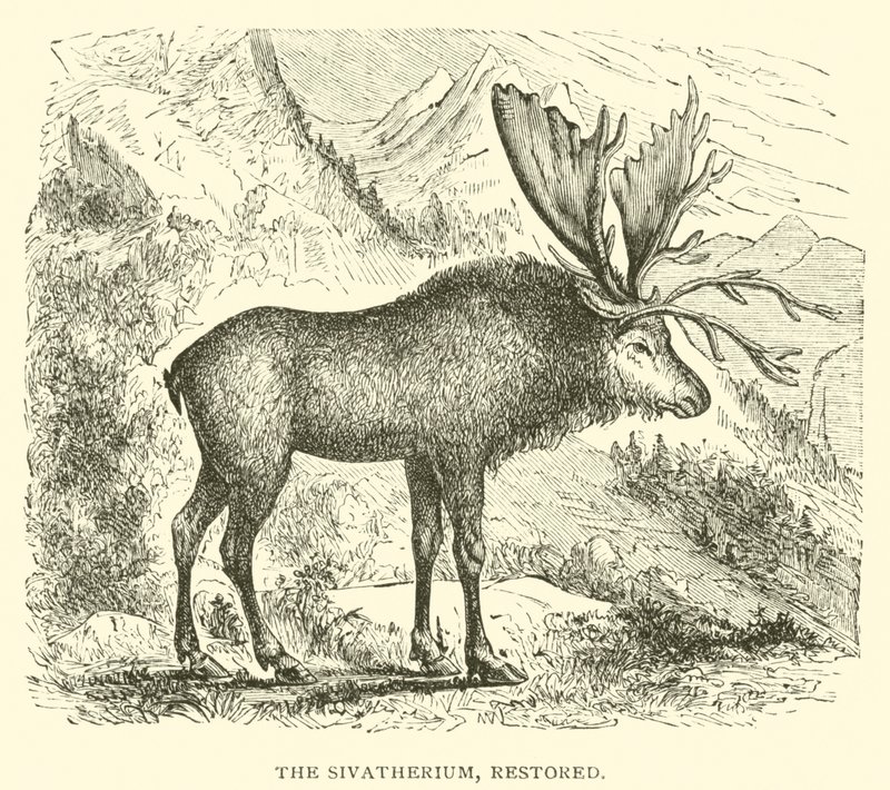 The Sivatherium, Restored by English School