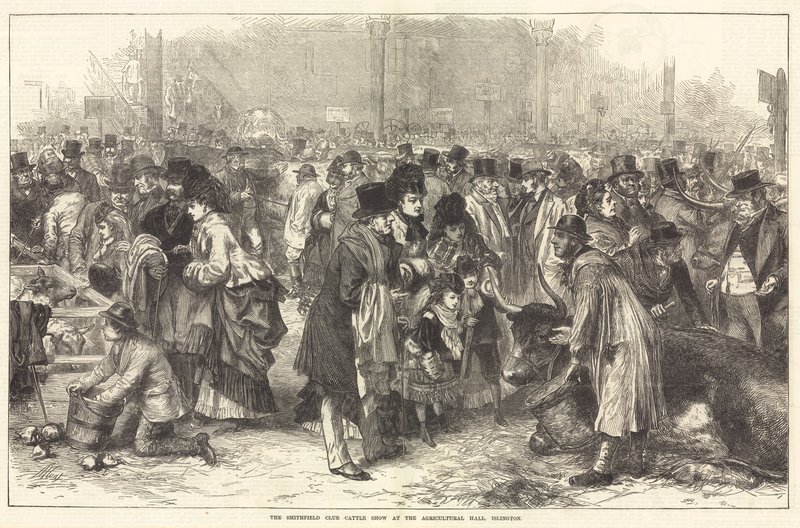 The Smithfield Club Cattle Show at the Agricultural Hall, Islington by English School