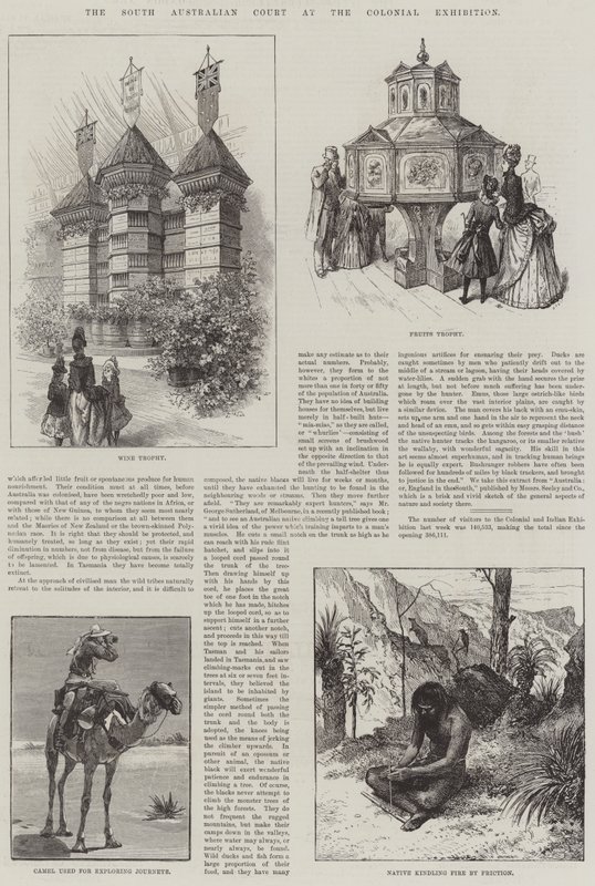The South Australian Court at the Colonial Exhibition by English School