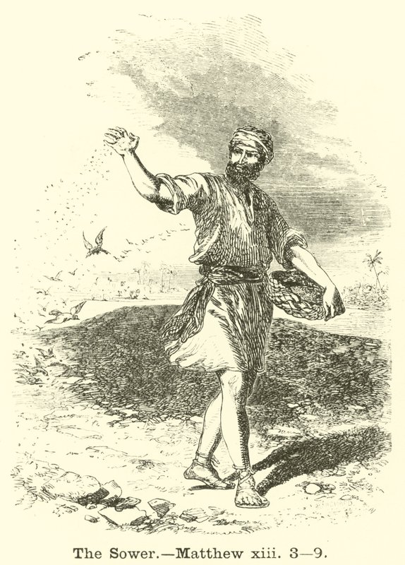 The Sower by English School