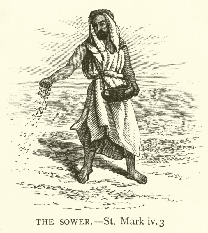 The Sower, St Mark, iv, 3 by English School