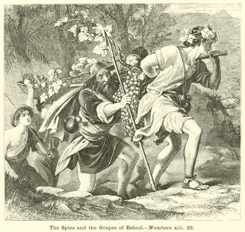The Spies and the Grapes of Eshcol, Numbers 13:23 by English School
