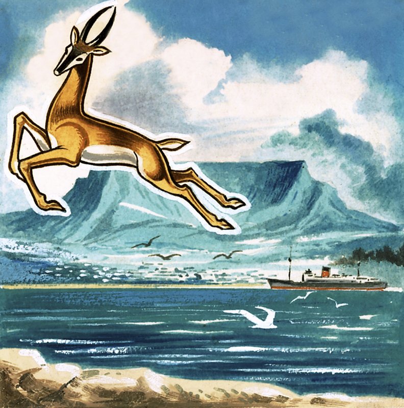 The Springbok, Emblem of South Africa by English School