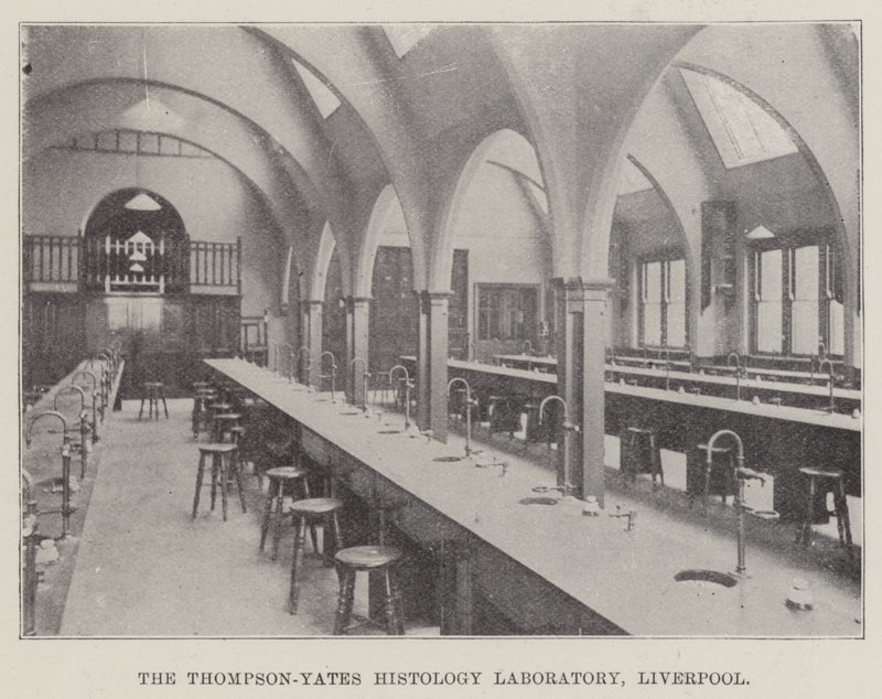 The Thompson-Yates Histology Laboratory, Liverpool by English School