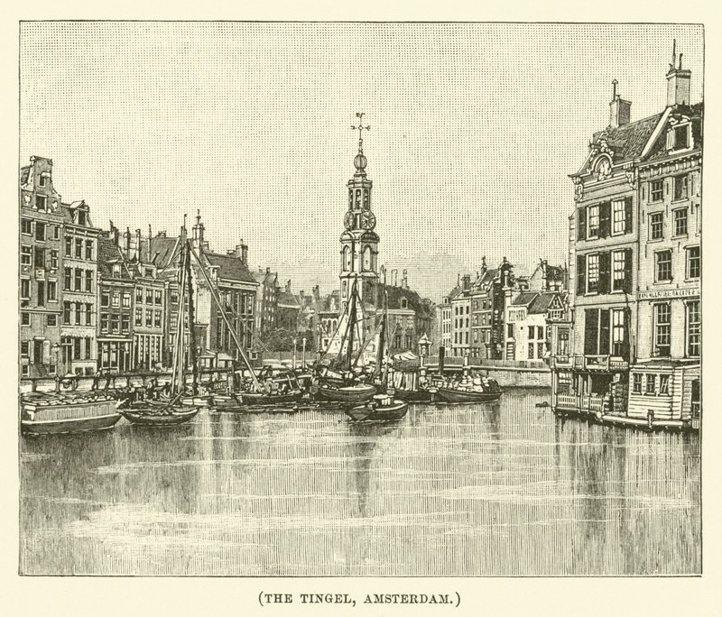 The Tingel, Amsterdam by English School