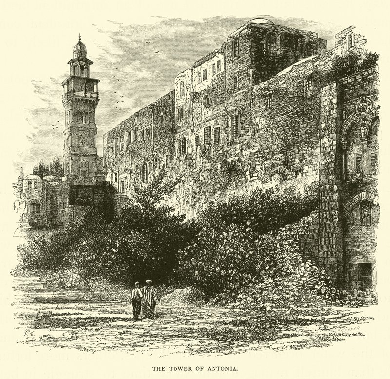 The Tower of Antonia by English School