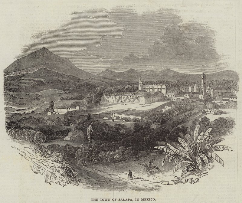 The Town of Jalapa, in Mexico by English School
