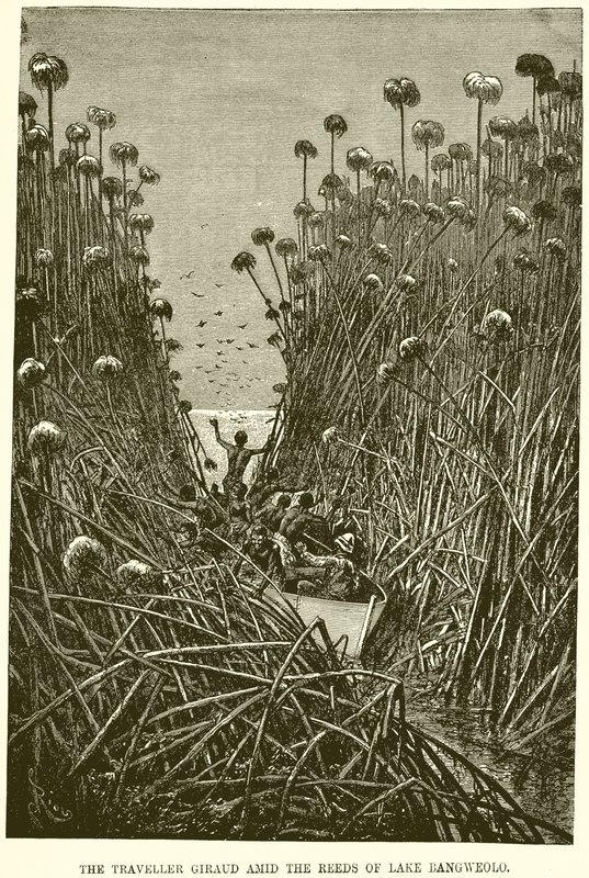 The Traveller Giraud Amid the Reeds of Lake Bangweolo by English School
