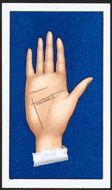 The Triangle (1) by English School