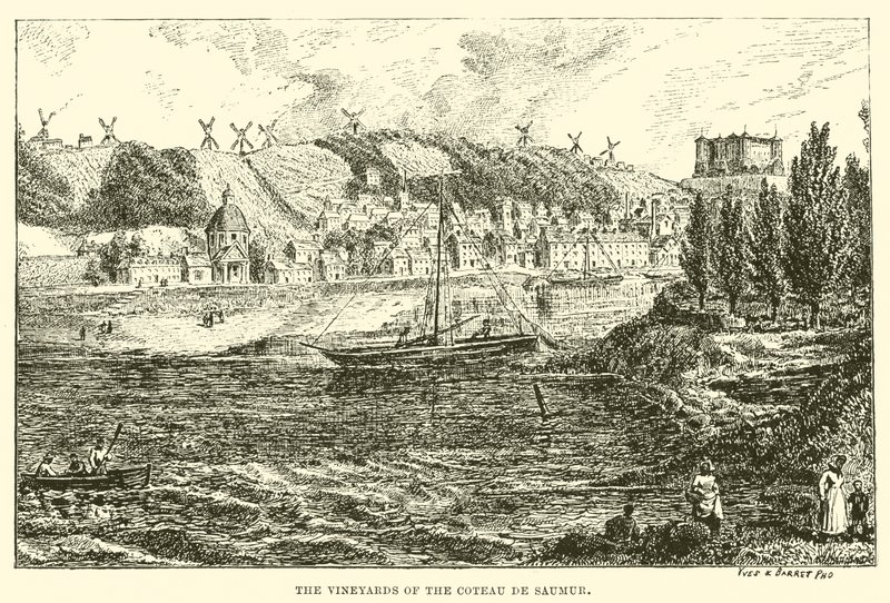 The Vineyards of the Coteau de Saumur by English School