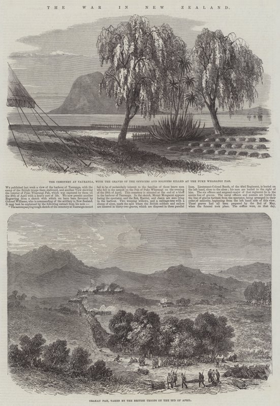 The War in New Zealand by English School