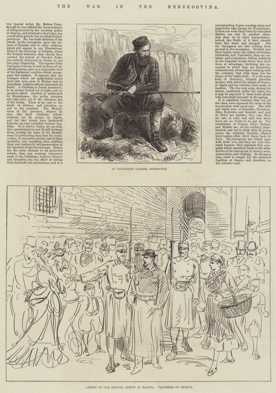 The War in the Herzegovina by English School