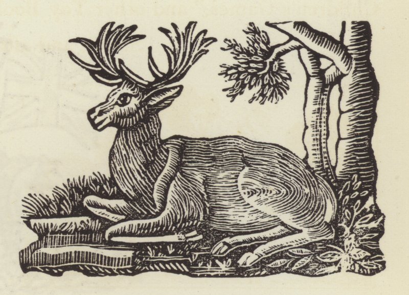 The White Hart by English School